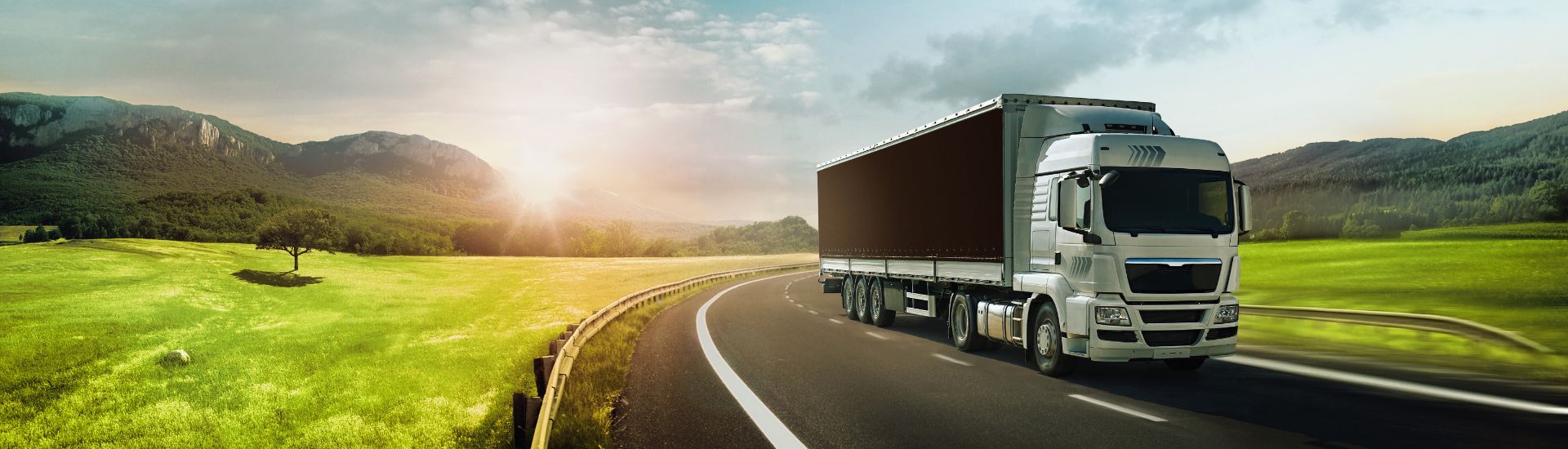 Vo Tran Logistic